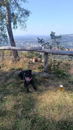 Bild von Döllberghütte