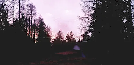 Bild von Döllberghütte