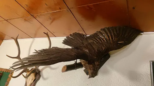 Bild von Gaststätte Jägerstube