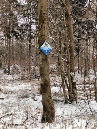 Bild von Berghütte Adlersberg