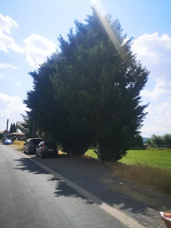 Bild von Landgasthof & Pension Frank