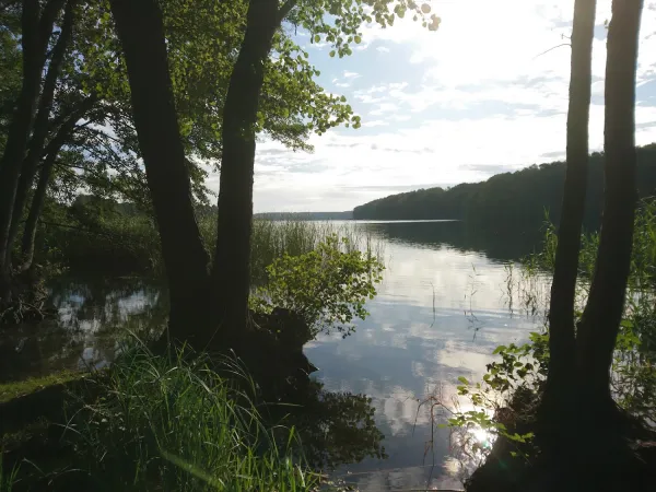 Bild von undefined
