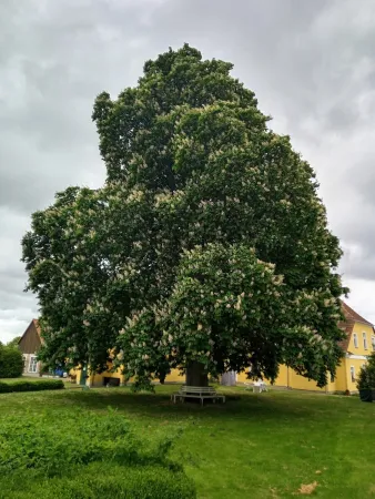 Bild von undefined