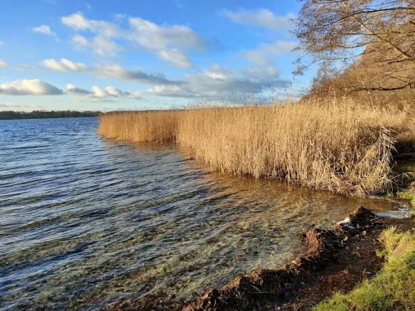 Bild von undefined