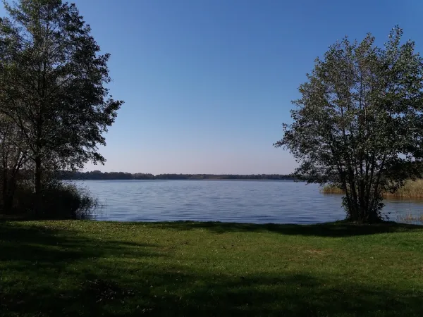 Bild von undefined