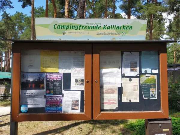 Bild von Heike Matthes