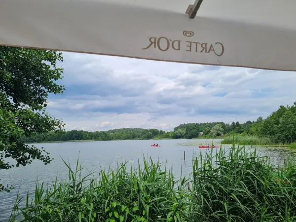 Bild von undefined
