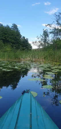 Bild von Krüseliner Seeschänke