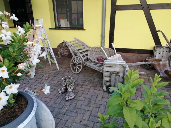Bild von undefined