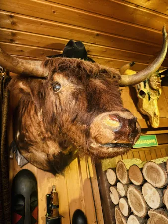 Bild von Saloon Rancheros