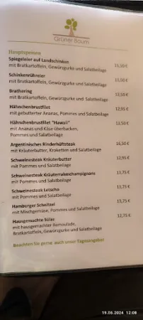 Bild von Gasthof & Eisdiele Grüner Baum