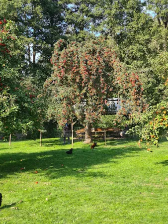 Bild von Burger Hofbrennerei