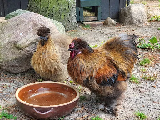 Bild von Burger Hofbrennerei