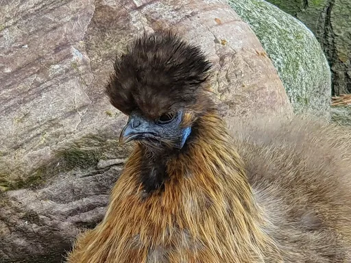 Bild von Burger Hofbrennerei