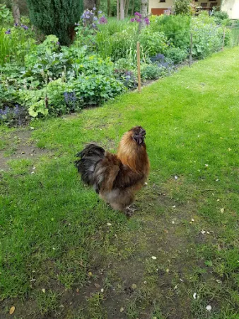 Bild von Burger Hofbrennerei