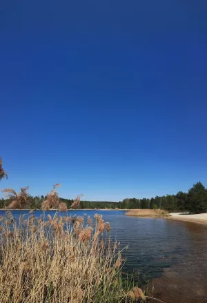 Imbiss Südsee