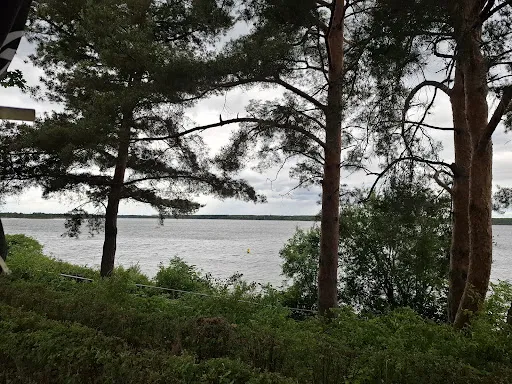 Bild von Sharky's Großkoschen