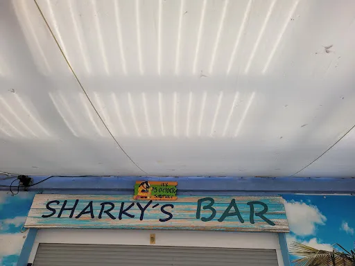 Bild von Sharky's Großkoschen