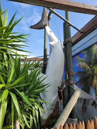 Bild von Sharky's Großkoschen