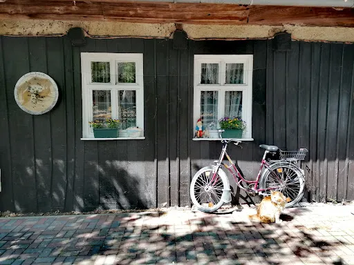 Bild von Unter der 250 jährigen Eiche