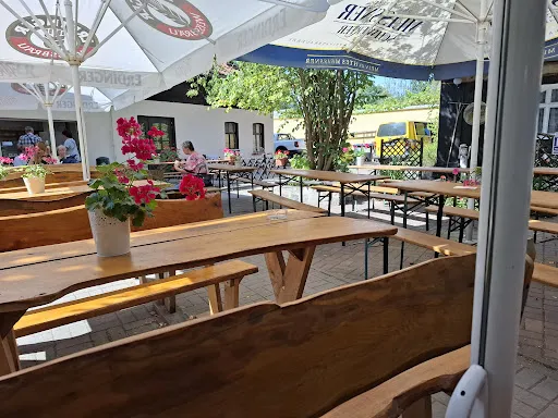 Bild von Unter der 250 jährigen Eiche