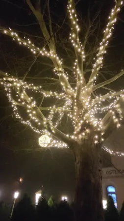 Bild von Osteria Vecchie Mura -Italienische Spezialitäten