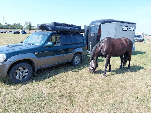 Bild von Countryscheune & Shadow Creek Ranch