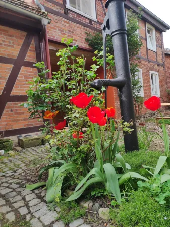 Bild von undefined