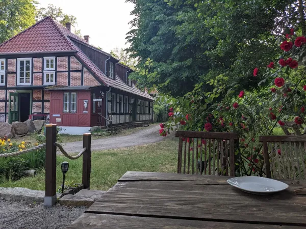 Bild von undefined