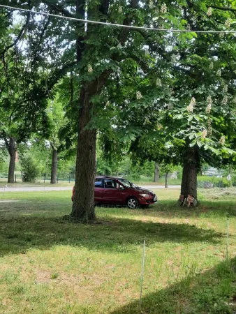 Bild von undefined