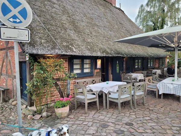 Bild von undefined