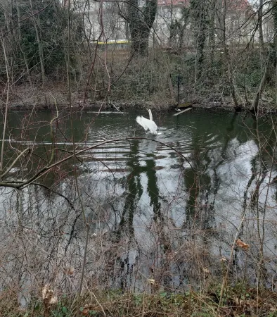 Bild von Hulla Hupp