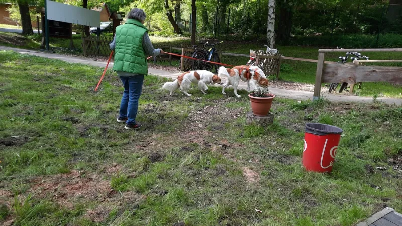Bild von Lutz Hornack