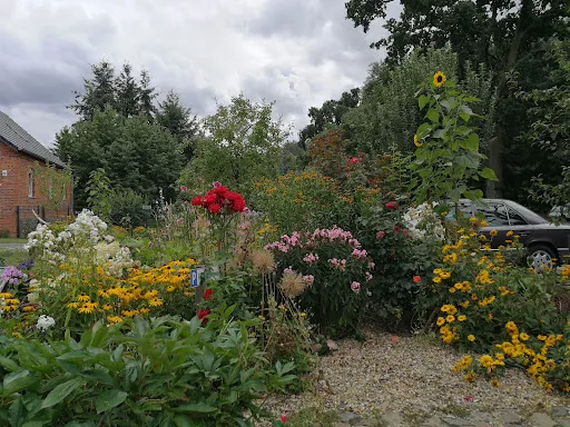 Bild von Hofcafè & Bistro Zur Alten Mühle Rühstädt