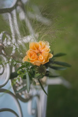 Bild von INSL