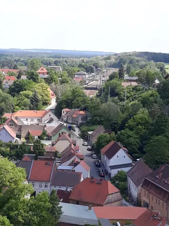 Bild von Anja König