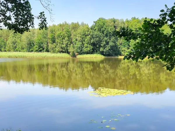 Bild von undefined