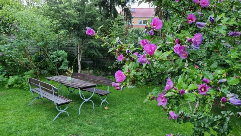 Bild von undefined