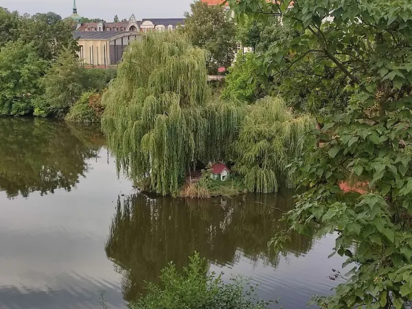 Bild von undefined
