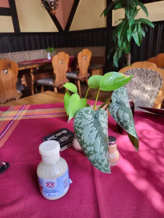Bild von Gaststätte Dahne-Klause - Detlef Dahne