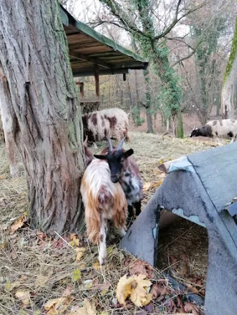 Bild von Hubertusberg Ausflugsgaststätte