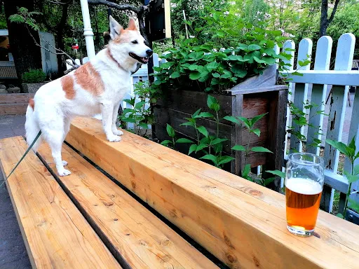 Bild von Biergarten Waldschänke