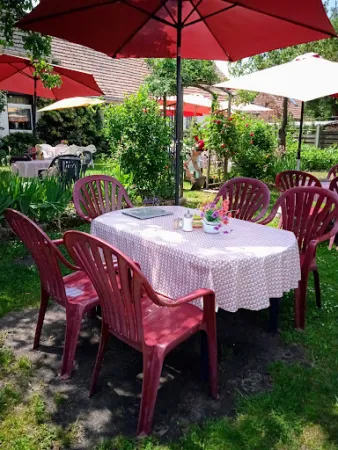 Bild von Café "Zum Kirschbaum"