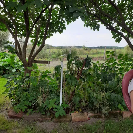 Bild von Café "Zum Kirschbaum"