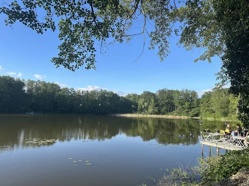 Bild von Al Lago im Jägerhof
