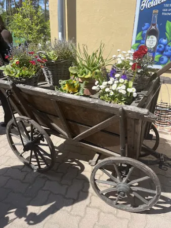 Bild von Spargel- und Erlebnishof Klaistow