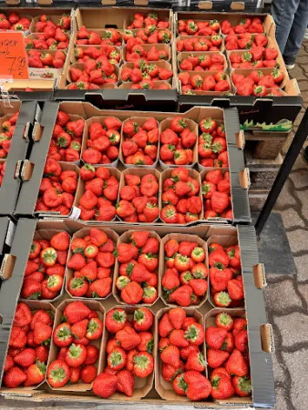 Bild von Spargel- und Erlebnishof Klaistow