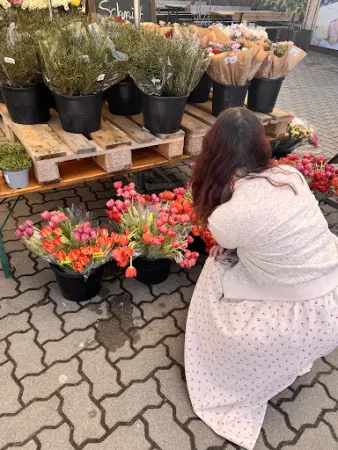 Bild von Spargel- und Erlebnishof Klaistow