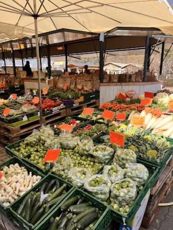 Bild von Spargel- und Erlebnishof Klaistow