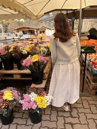 Bild von Spargel- und Erlebnishof Klaistow